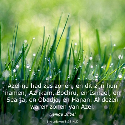 Picture 03 - 1 Kronieken 8:38 NLD - Azel nu had zes zonen, en dit zijn hun namen; - Bible Verse Picture