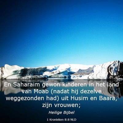 Picture 03 - 1 Kronieken 8:8 NLD - En Saharaim gewon kinderen in het land van Moab - Bible Verse Picture