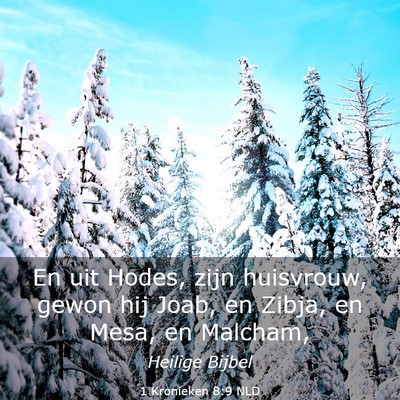 Picture 03 - 1 Kronieken 8:9 NLD - En uit Hodes, zijn huisvrouw, gewon hij Joab, en - Bible Verse Picture