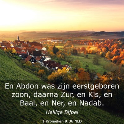 Picture 03 - 1 Kronieken 9:36 NLD - En Abdon was zijn eerstgeboren zoon, daarna Zur, - Bible Verse Picture