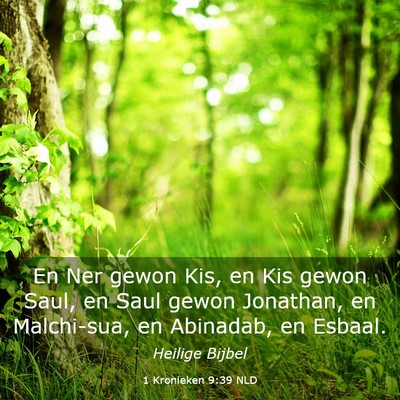 Picture 03 - 1 Kronieken 9:39 NLD - En Ner gewon Kis, en Kis gewon Saul, en Saul - Bible Verse Picture