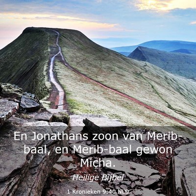Picture 03 - 1 Kronieken 9:40 NLD - En Jonathans zoon van Merib-baal, en Merib-baal - Bible Verse Picture