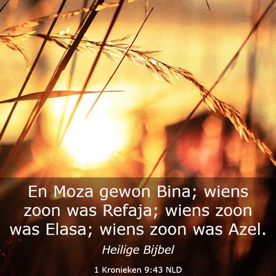Picture 03 - 1 Kronieken 9:43 NLD - En Moza gewon Bina; wiens zoon was Refaja; wiens - Bible Verse Picture