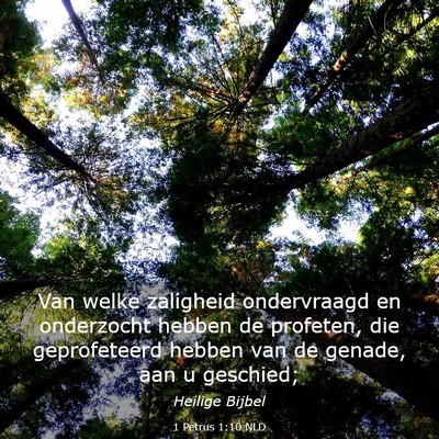 Picture 03 - 1 Petrus 1:10 NLD - Van welke zaligheid ondervraagd en onderzocht - Bible Verse Picture