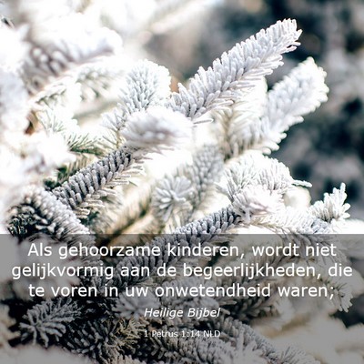 Picture 03 - 1 Petrus 1:14 NLD - Als gehoorzame kinderen, wordt niet gelijkvormig - Bible Verse Picture