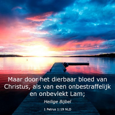 Picture 03 - 1 Petrus 1:19 NLD - Maar door het dierbaar bloed van Christus, als - Bible Verse Picture