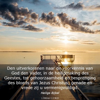 Picture 03 - 1 Petrus 1:2 NLD - Den uitverkorenen naar de voorkennis van God den - Bible Verse Picture