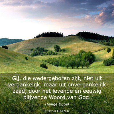 Picture 03 - 1 Petrus 1:23 NLD - Gij, die wedergeboren zijt, niet uit - Bible Verse Picture