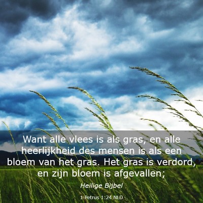 Picture 03 - 1 Petrus 1:24 NLD - Want alle vlees is als gras, en alle heerlijkheid - Bible Verse Picture