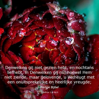 Picture 03 - 1 Petrus 1:8 NLD - Denwelken gij niet gezien hebt, en nochtans - Bible Verse Picture