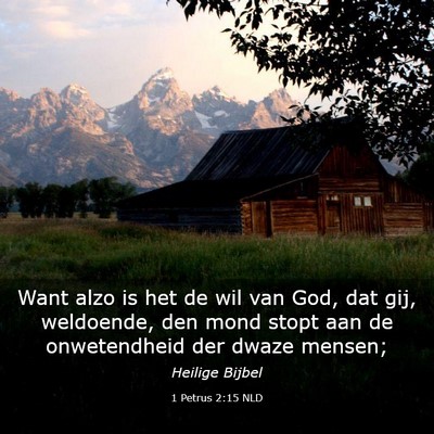Picture 03 - 1 Petrus 2:15 NLD - Want alzo is het de wil van God, dat gij, - Bible Verse Picture
