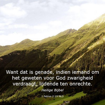 Picture 03 - 1 Petrus 2:19 NLD - Want dat is genade, indien iemand om het geweten - Bible Verse Picture