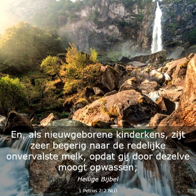 Picture 03 - 1 Petrus 2:2 NLD - En, als nieuwgeborene kinderkens, zijt zeer - Bible Verse Picture