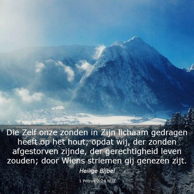Picture 03 - 1 Petrus 2:24 NLD - Die Zelf onze zonden in Zijn lichaam gedragen - Bible Verse Picture