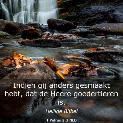 Picture 03 - 1 Petrus 2:3 NLD - Indien gij anders gesmaakt hebt, dat de Heere - Bible Verse Picture
