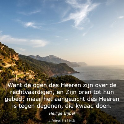 Picture 03 - 1 Petrus 3:12 NLD - Want de ogen des Heeren zijn over de - Bible Verse Picture