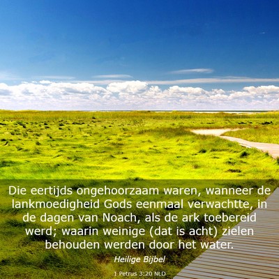 Picture 03 - 1 Petrus 3:20 NLD - Die eertijds ongehoorzaam waren, wanneer de - Bible Verse Picture
