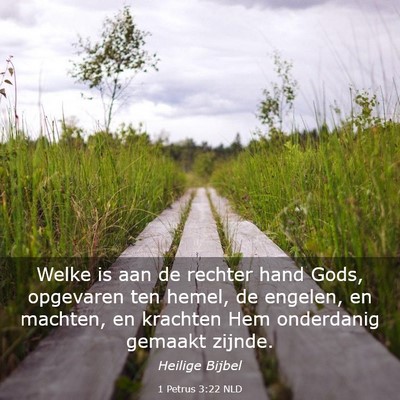 Picture 03 - 1 Petrus 3:22 NLD - Welke is aan de rechter hand Gods, opgevaren ten - Bible Verse Picture