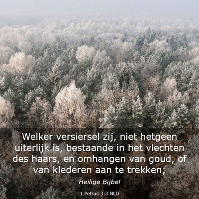Picture 03 - 1 Petrus 3:3 NLD - Welker versiersel zij, niet hetgeen uiterlijk is, - Bible Verse Picture