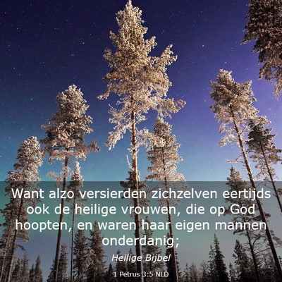 Picture 03 - 1 Petrus 3:5 NLD - Want alzo versierden zichzelven eertijds ook de - Bible Verse Picture