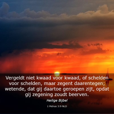 Picture 03 - 1 Petrus 3:9 NLD - Vergeldt niet kwaad voor kwaad, of schelden voor - Bible Verse Picture