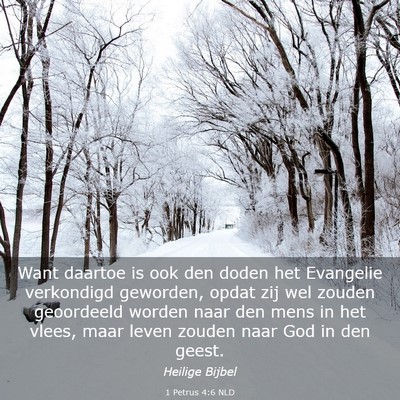 Picture 03 - 1 Petrus 4:6 NLD - Want daartoe is ook den doden het Evangelie - Bible Verse Picture