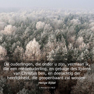 Picture 03 - 1 Petrus 5:1 NLD - De ouderlingen, die onder u zijn, vermaan ik, die - Bible Verse Picture
