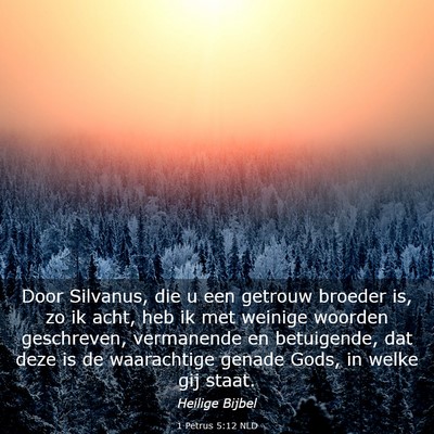 Picture 03 - 1 Petrus 5:12 NLD - Door Silvanus, die u een getrouw broeder is, zo - Bible Verse Picture