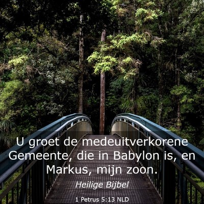 Picture 03 - 1 Petrus 5:13 NLD - U groet de medeuitverkorene Gemeente, die in - Bible Verse Picture