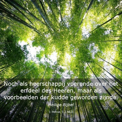 Picture 03 - 1 Petrus 5:3 NLD - Noch als heerschappij voerende over het erfdeel - Bible Verse Picture