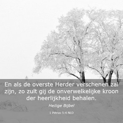 Picture 03 - 1 Petrus 5:4 NLD - En als de overste Herder verschenen zal zijn, zo - Bible Verse Picture