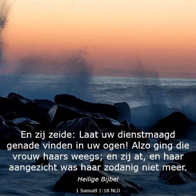 Picture 03 - 1 Samuël 1:18 NLD - En zij zeide: Laat uw dienstmaagd genade vinden - Bible Verse Picture