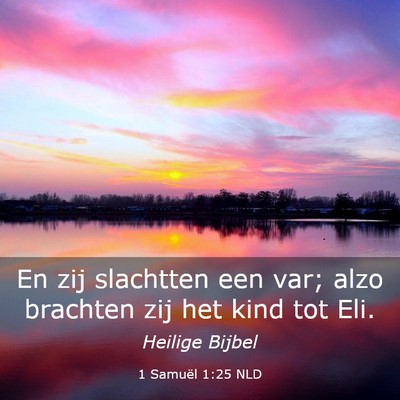 Picture 03 - 1 Samuël 1:25 NLD - En zij slachtten een var; alzo brachten zij het - Bible Verse Picture
