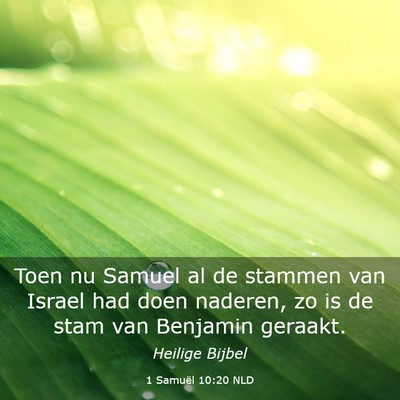 Picture 03 - 1 Samuël 10:20 NLD - Toen nu Samuel al de stammen van Israel had doen - Bible Verse Picture
