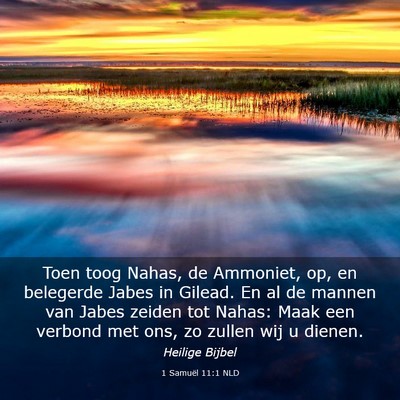 Picture 03 - 1 Samuël 11:1 NLD - Toen toog Nahas, de Ammoniet, op, en belegerde - Bible Verse Picture