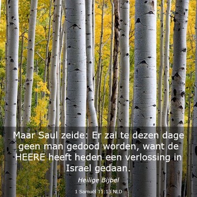 Picture 03 - 1 Samuël 11:13 NLD - Maar Saul zeide: Er zal te dezen dage geen man - Bible Verse Picture