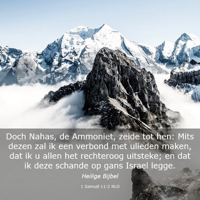 Picture 03 - 1 Samuël 11:2 NLD - Doch Nahas, de Ammoniet, zeide tot hen: Mits - Bible Verse Picture