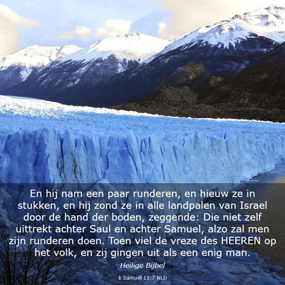 Picture 03 - 1 Samuël 11:7 NLD - En hij nam een paar runderen, en hieuw ze in - Bible Verse Picture