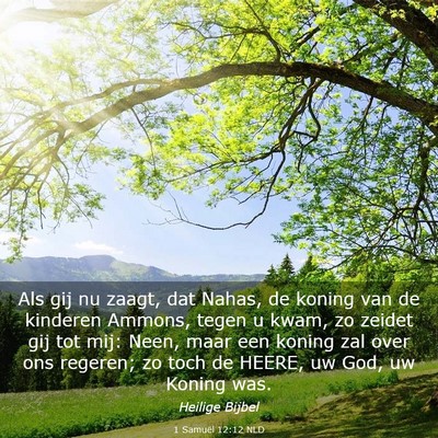 Picture 03 - 1 Samuël 12:12 NLD - Als gij nu zaagt, dat Nahas, de koning van de - Bible Verse Picture