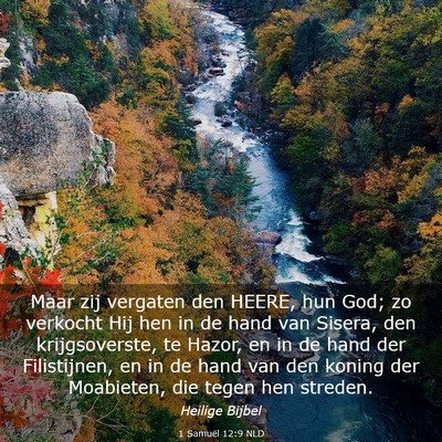Picture 03 - 1 Samuël 12:9 NLD - Maar zij vergaten den HEERE, hun God; zo verkocht - Bible Verse Picture