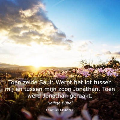 Picture 03 - 1 Samuël 14:42 NLD - Toen zeide Saul: Werpt het lot tussen mij en - Bible Verse Picture