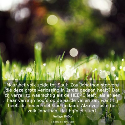 Picture 03 - 1 Samuël 14:45 NLD - Maar het volk zeide tot Saul: Zou Jonathan - Bible Verse Picture