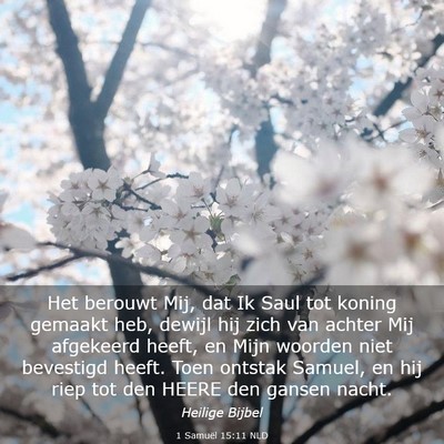 Picture 03 - 1 Samuël 15:11 NLD - Het berouwt Mij, dat Ik Saul tot koning gemaakt - Bible Verse Picture