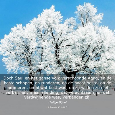 Picture 03 - 1 Samuël 15:9 NLD - Doch Saul en het ganse volk verschoonde Agag, en - Bible Verse Picture