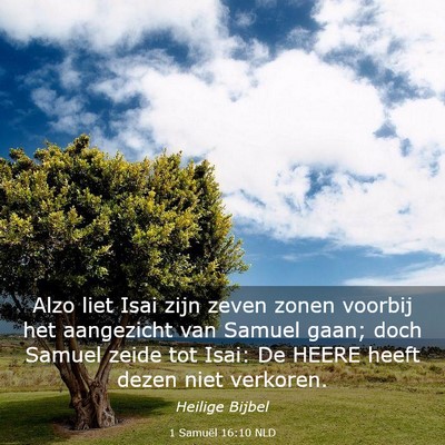 Picture 03 - 1 Samuël 16:10 NLD - Alzo liet Isai zijn zeven zonen voorbij het - Bible Verse Picture