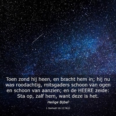 Picture 03 - 1 Samuël 16:12 NLD - Toen zond hij heen, en bracht hem in; hij nu was - Bible Verse Picture