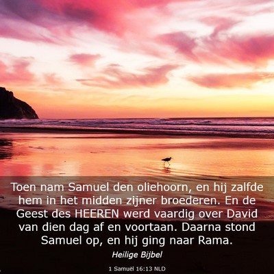 Picture 03 - 1 Samuël 16:13 NLD - Toen nam Samuel den oliehoorn, en hij zalfde hem - Bible Verse Picture