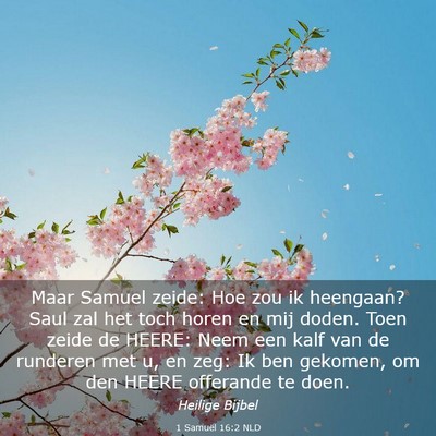 Picture 03 - 1 Samuël 16:2 NLD - Maar Samuel zeide: Hoe zou ik heengaan? Saul zal - Bible Verse Picture