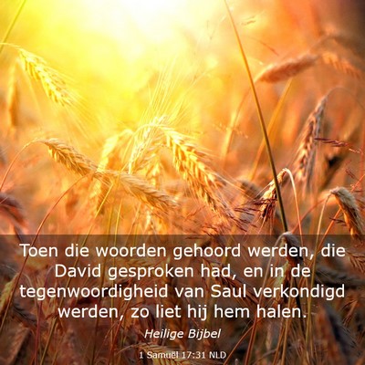 Picture 03 - 1 Samuël 17:31 NLD - Toen die woorden gehoord werden, die David - Bible Verse Picture