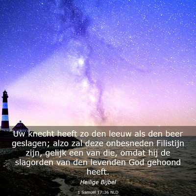 Picture 03 - 1 Samuël 17:36 NLD - Uw knecht heeft zo den leeuw als den beer - Bible Verse Picture